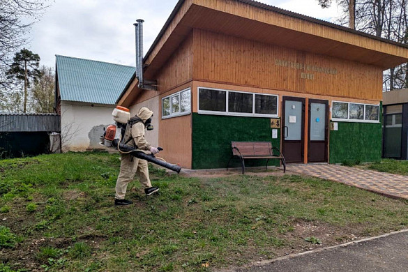 В Иванове очистили от клещей все городские парки 